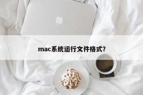 mac系统运行文件格式？