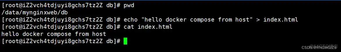 dockercompose文件里设置启动命令 docker compose启动容器_Docker_10