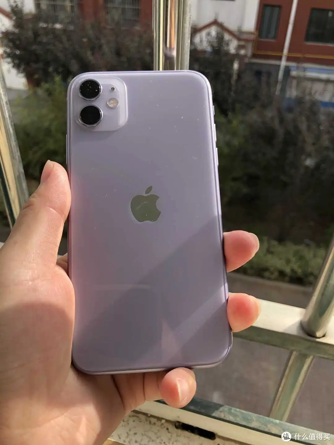 iphone11紫色上手体验以及信号等问题