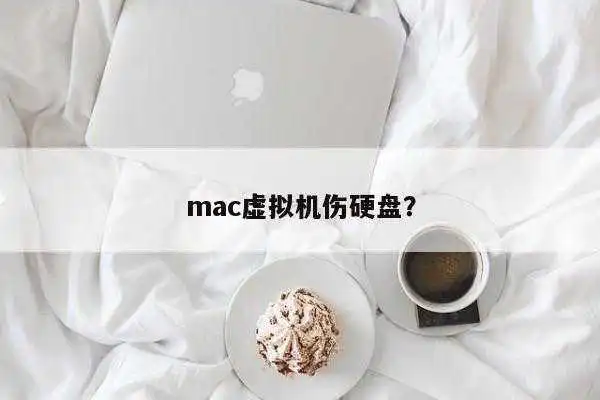 mac虚拟机伤硬盘？