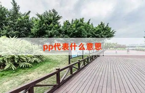 pp代表什么意思